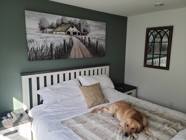 Interior Painting in Surrey – Leo Approved!