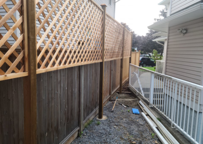 Fence - Before