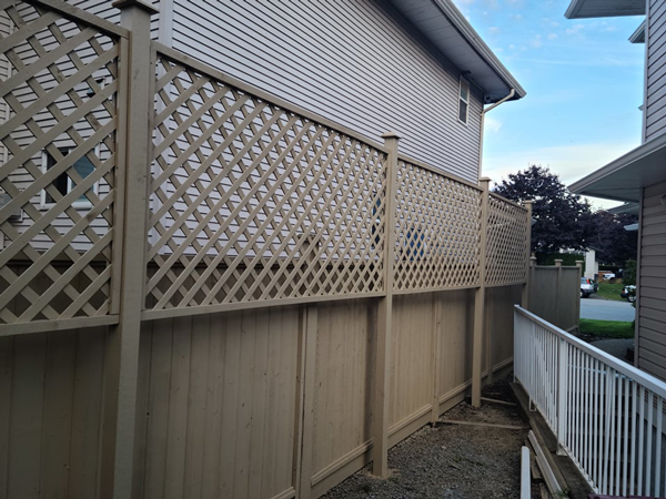Solid Stained Fence
